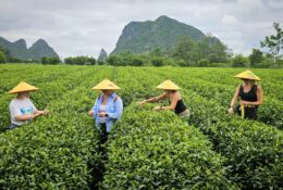 China_june (26/56)